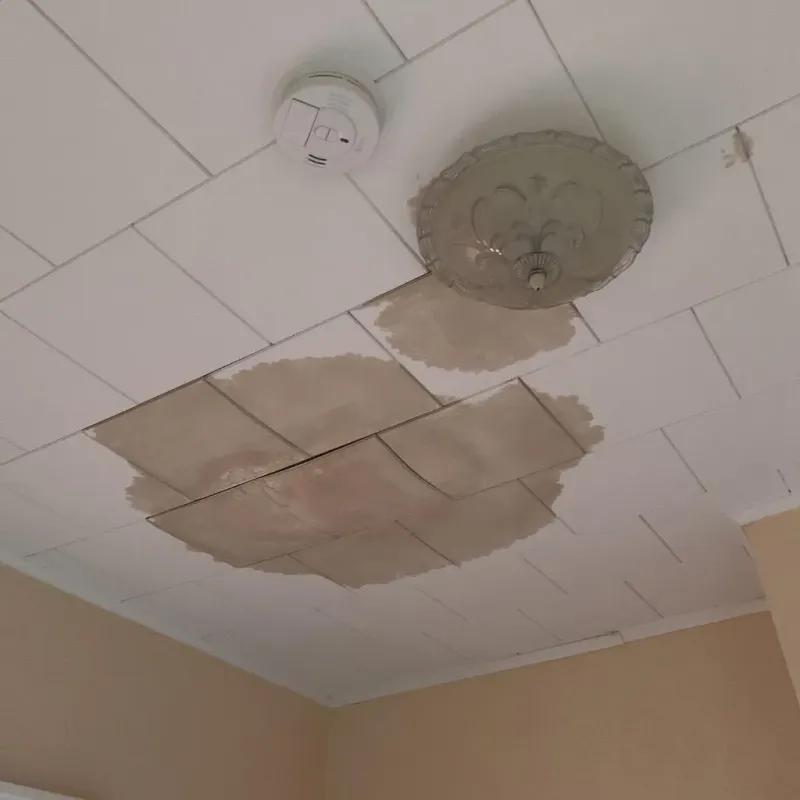 Ceiling Water Damage Repair in Edinboro, PA