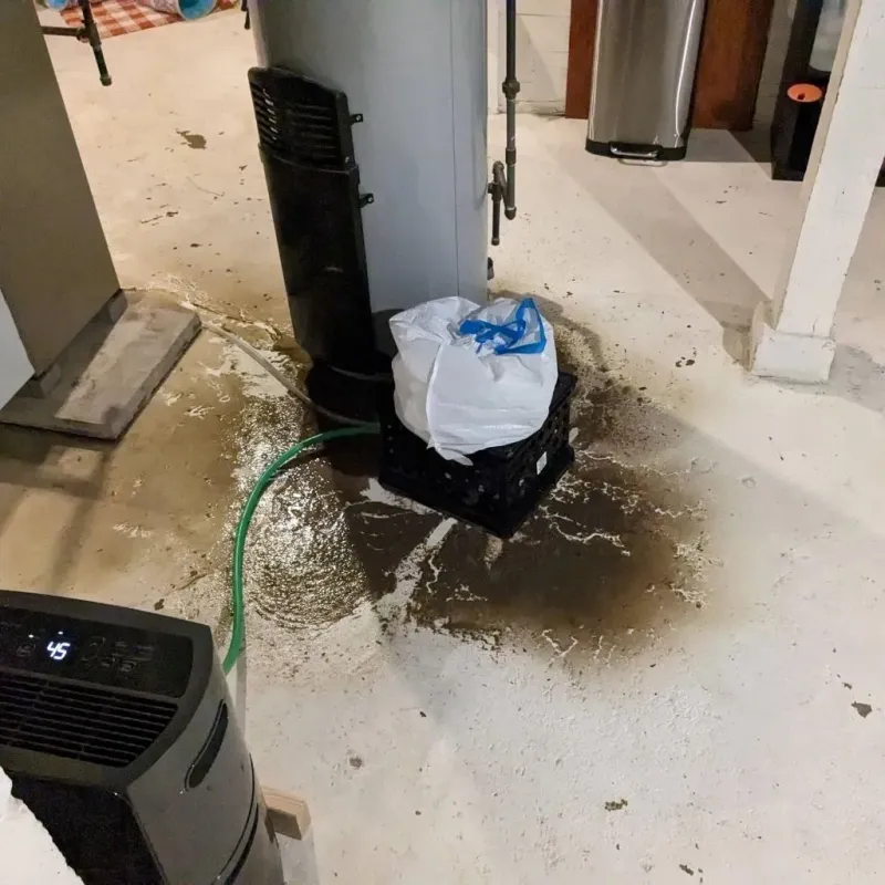 Sewage Backup Cleanup Service in Edinboro, PA